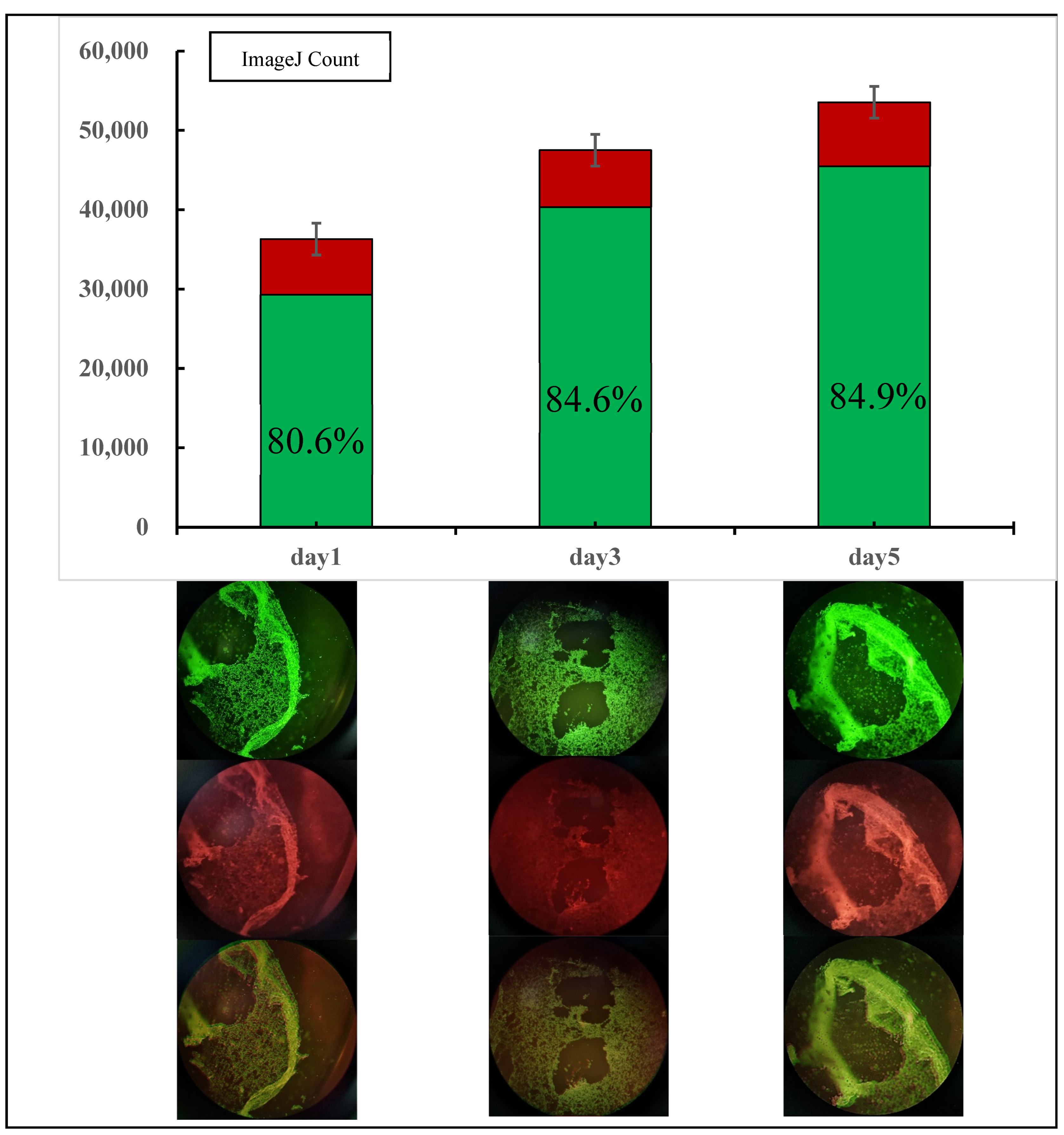 Materials 16 05312 g007