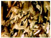 Materials 16 05316 i002