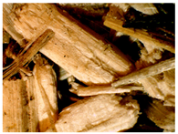 Materials 16 05316 i004