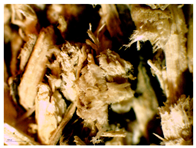 Materials 16 05316 i005