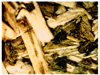 Materials 16 05316 i010