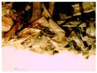 Materials 16 05316 i012