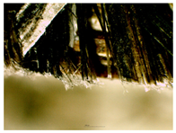 Materials 16 05316 i015