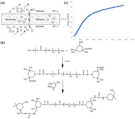 Materials 16 05339 g002
