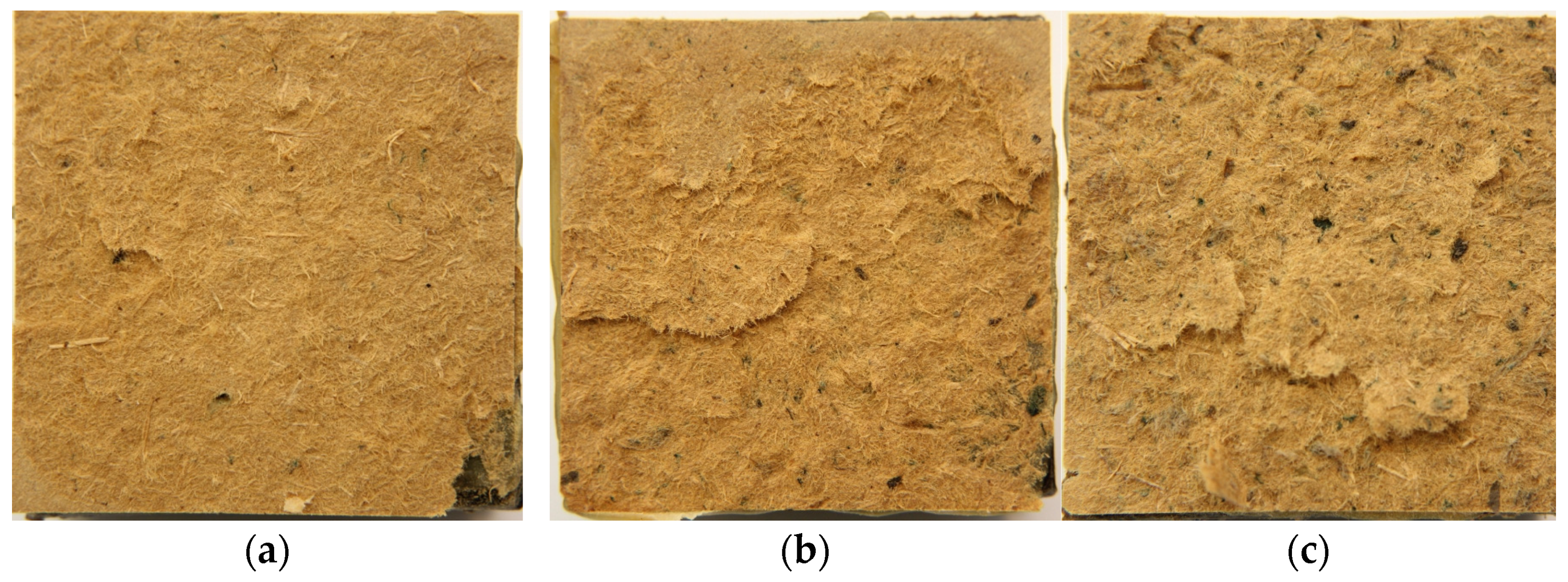 Materials 16 05340 g006