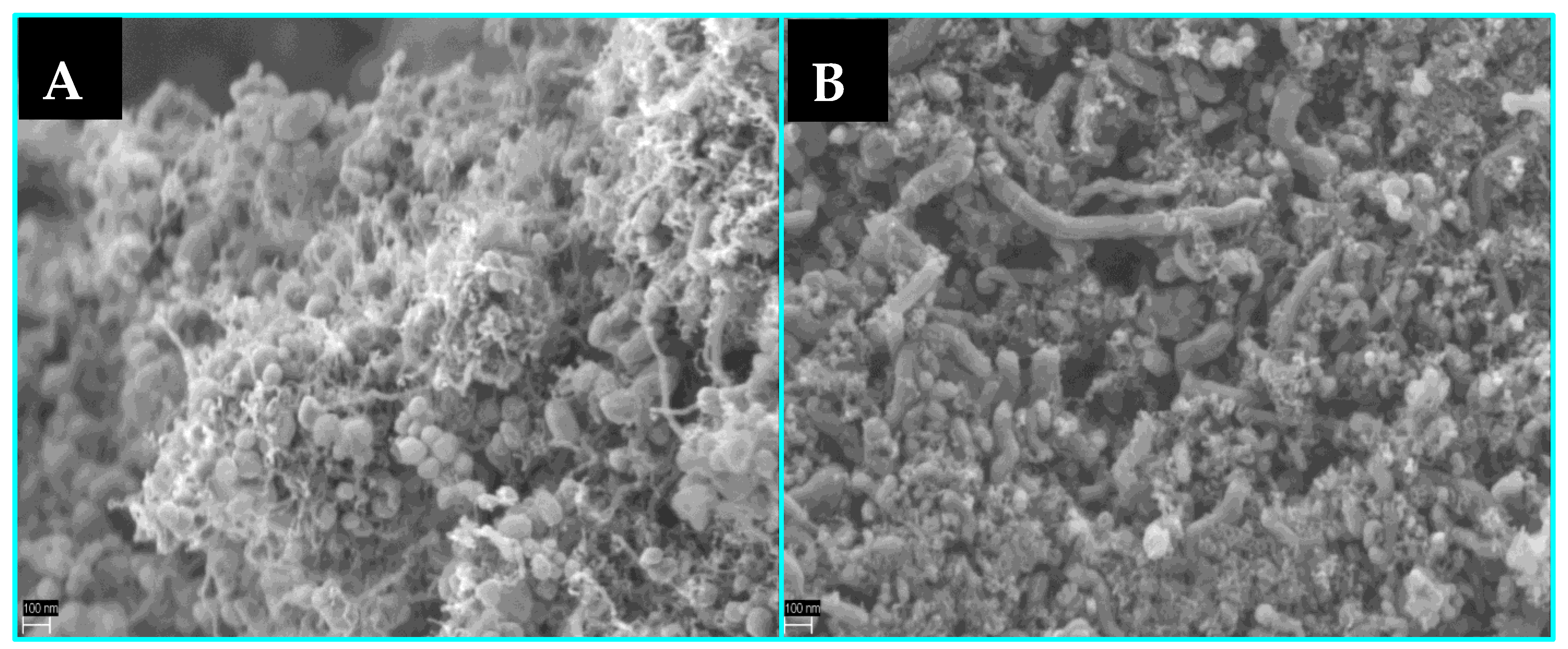 Materials 16 05377 g010