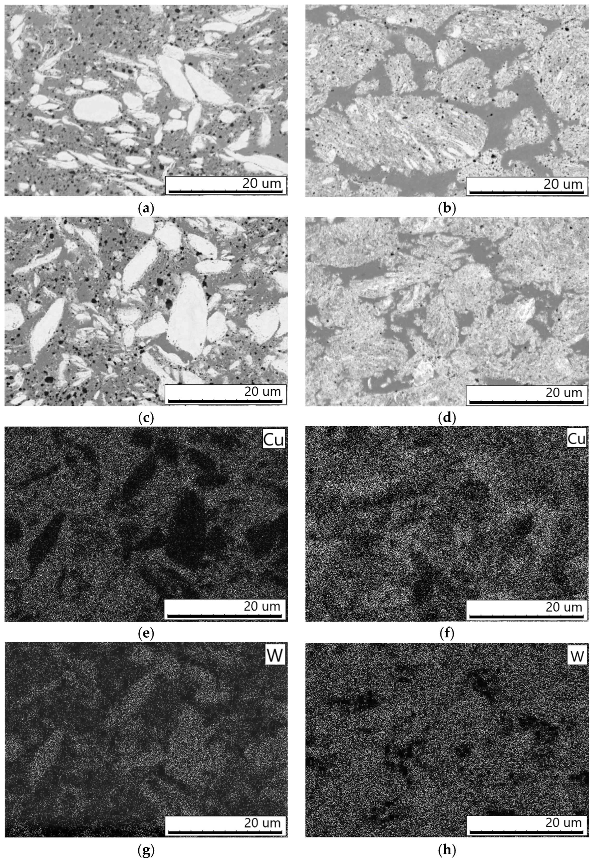 Materials 16 05385 g004