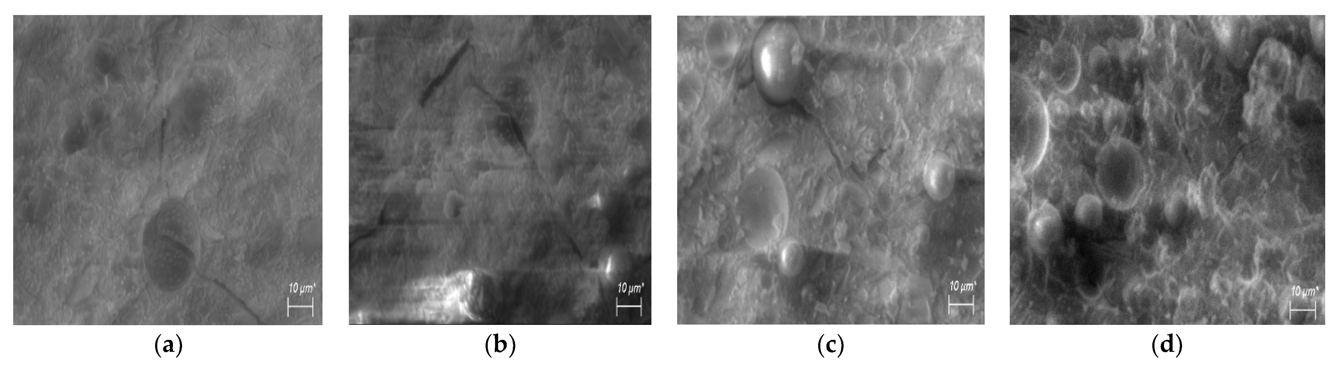 Materials 16 05392 g005 Materials 16 05392 g005