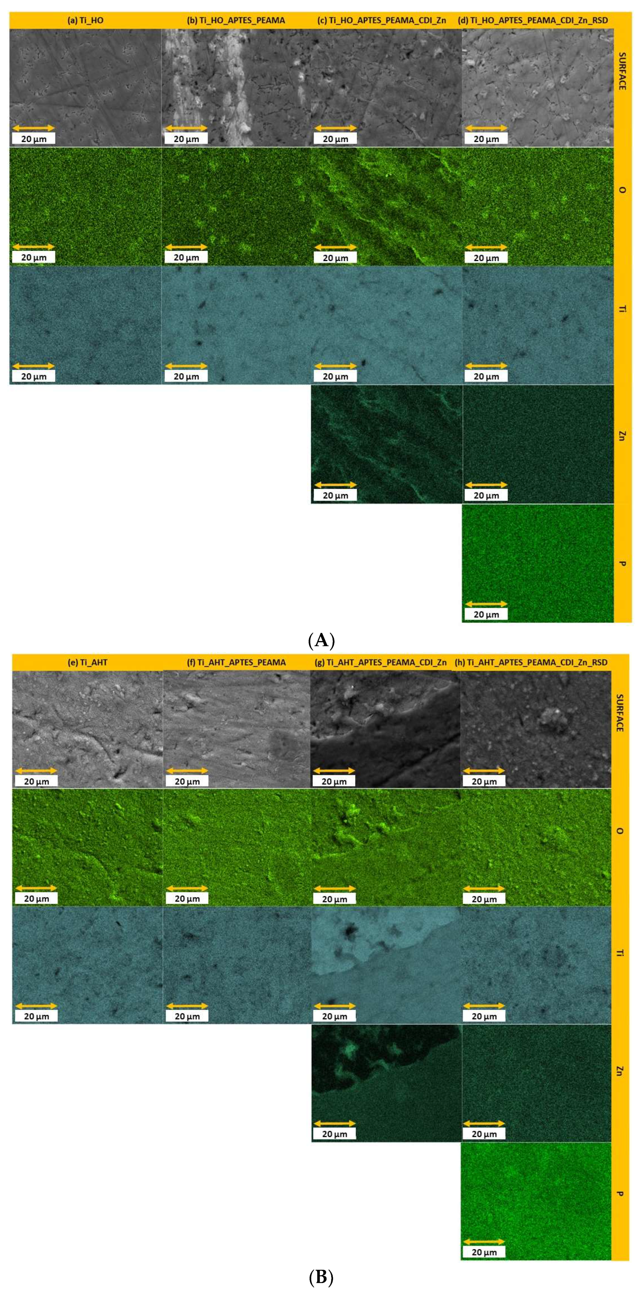 Materials 16 05404 g004