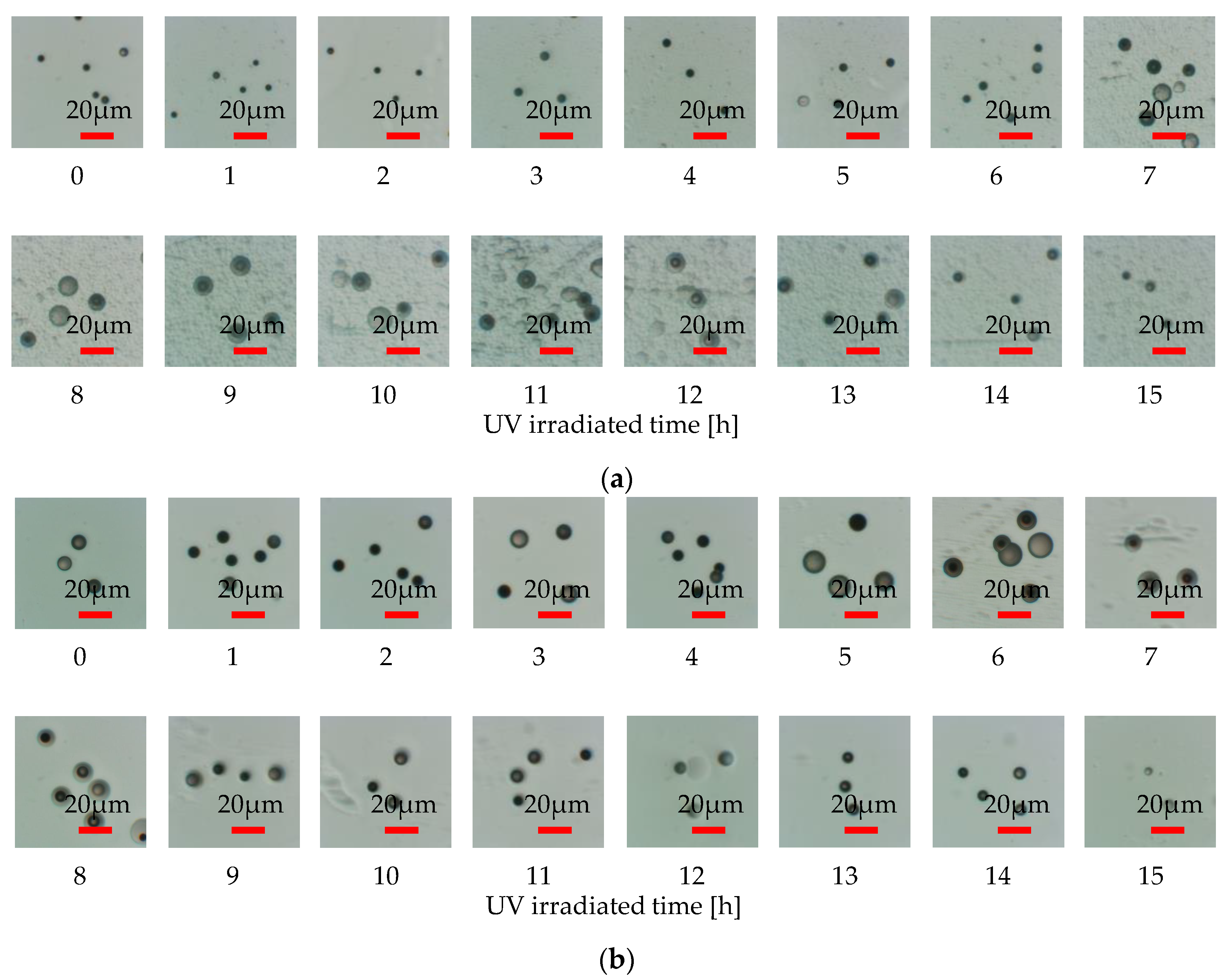 Materials 16 05413 g007 Materials 16 05413 g007