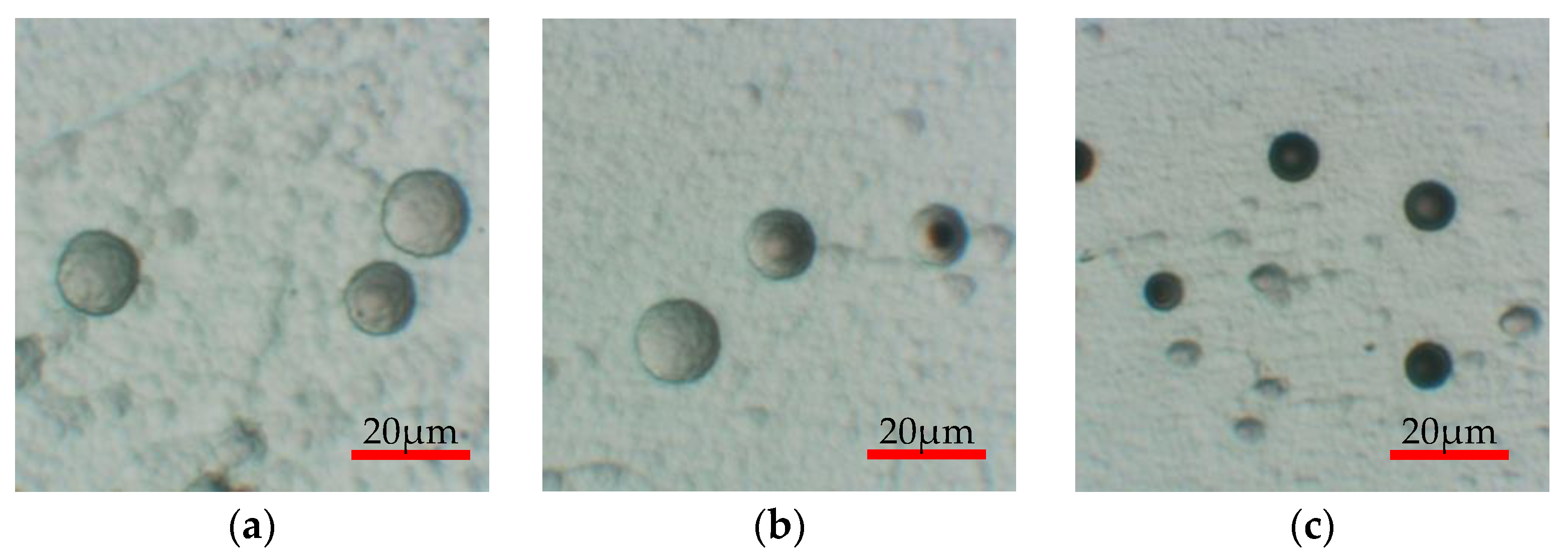 Materials 16 05413 g012 Materials 16 05413 g012