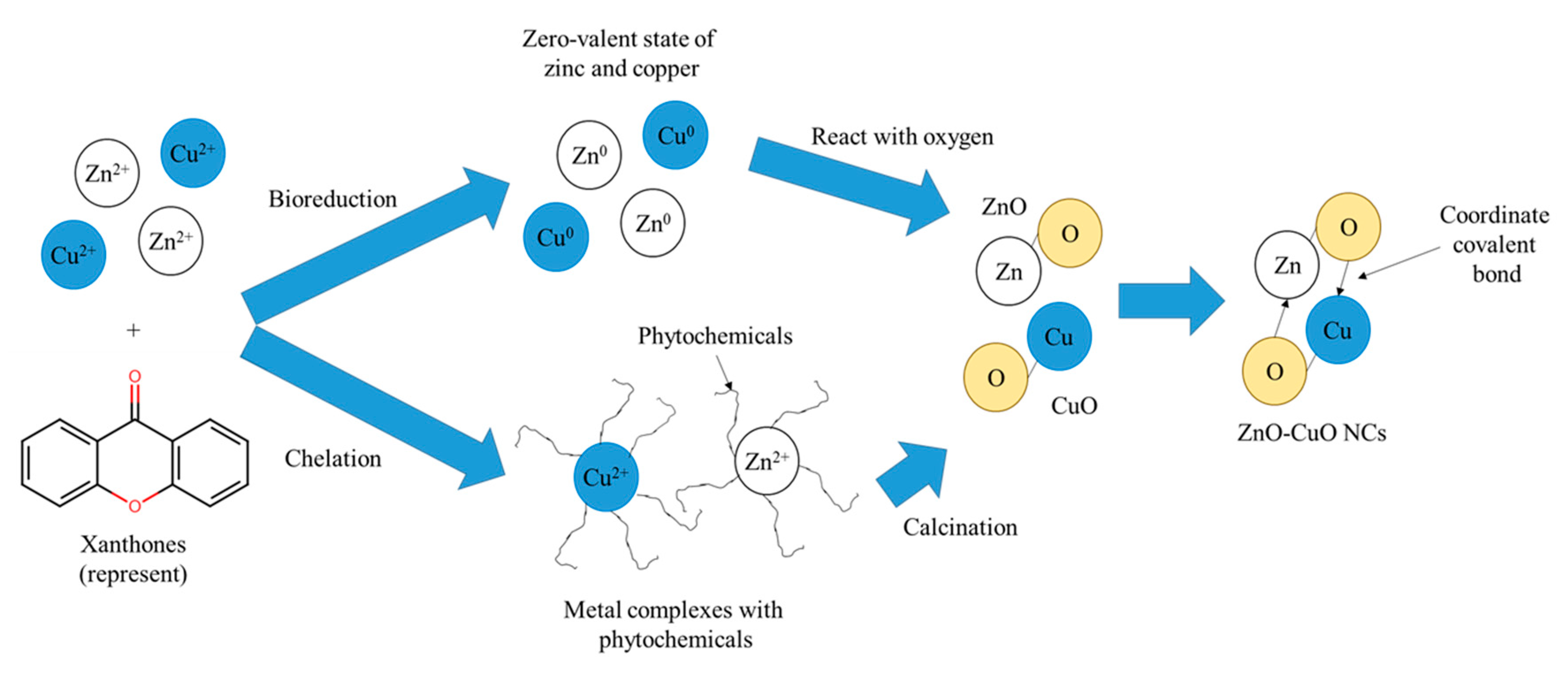 Materials 16 05421 sch001 Materials 16 05421 sch001