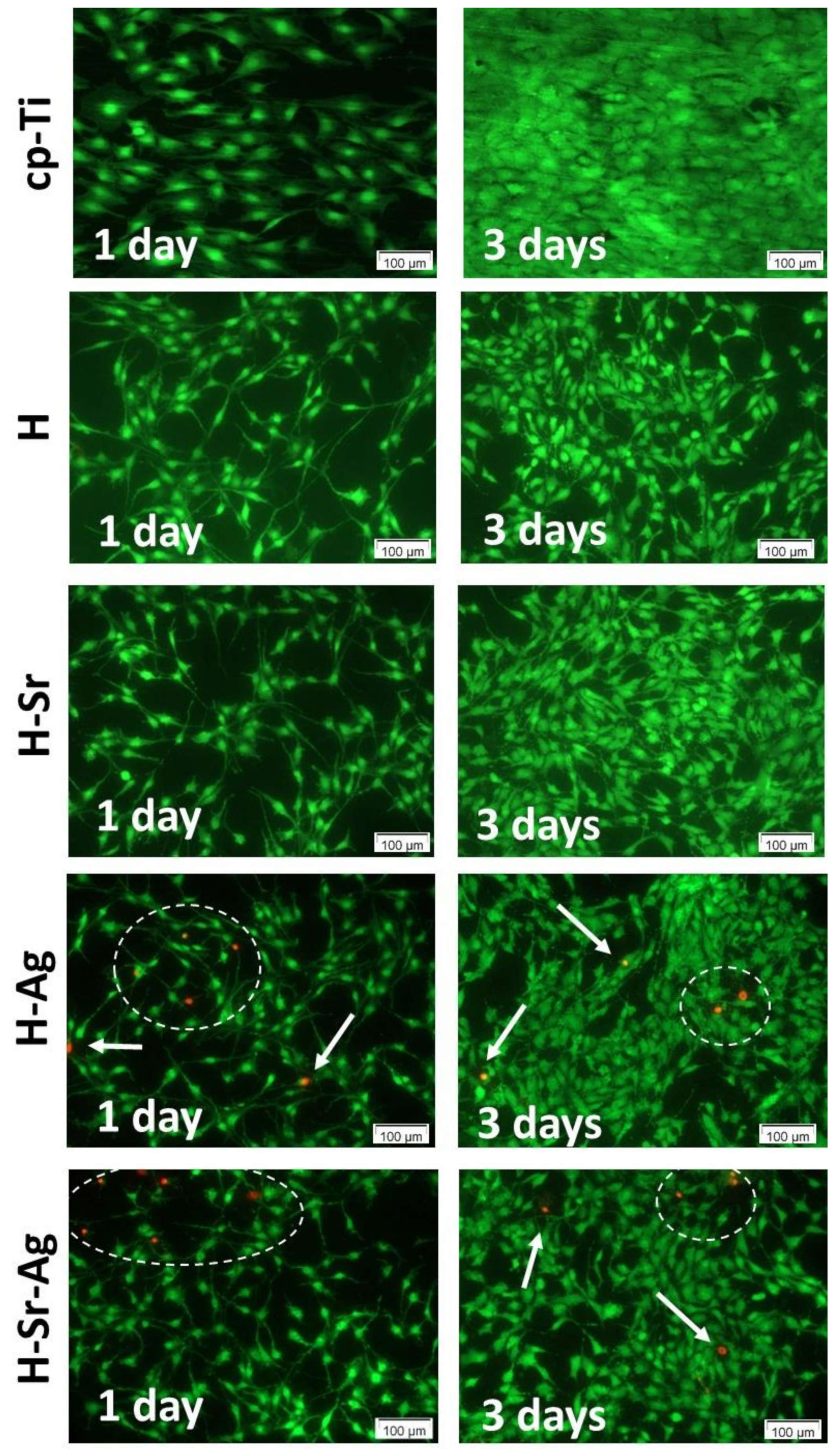 Materials 16 05428 g008