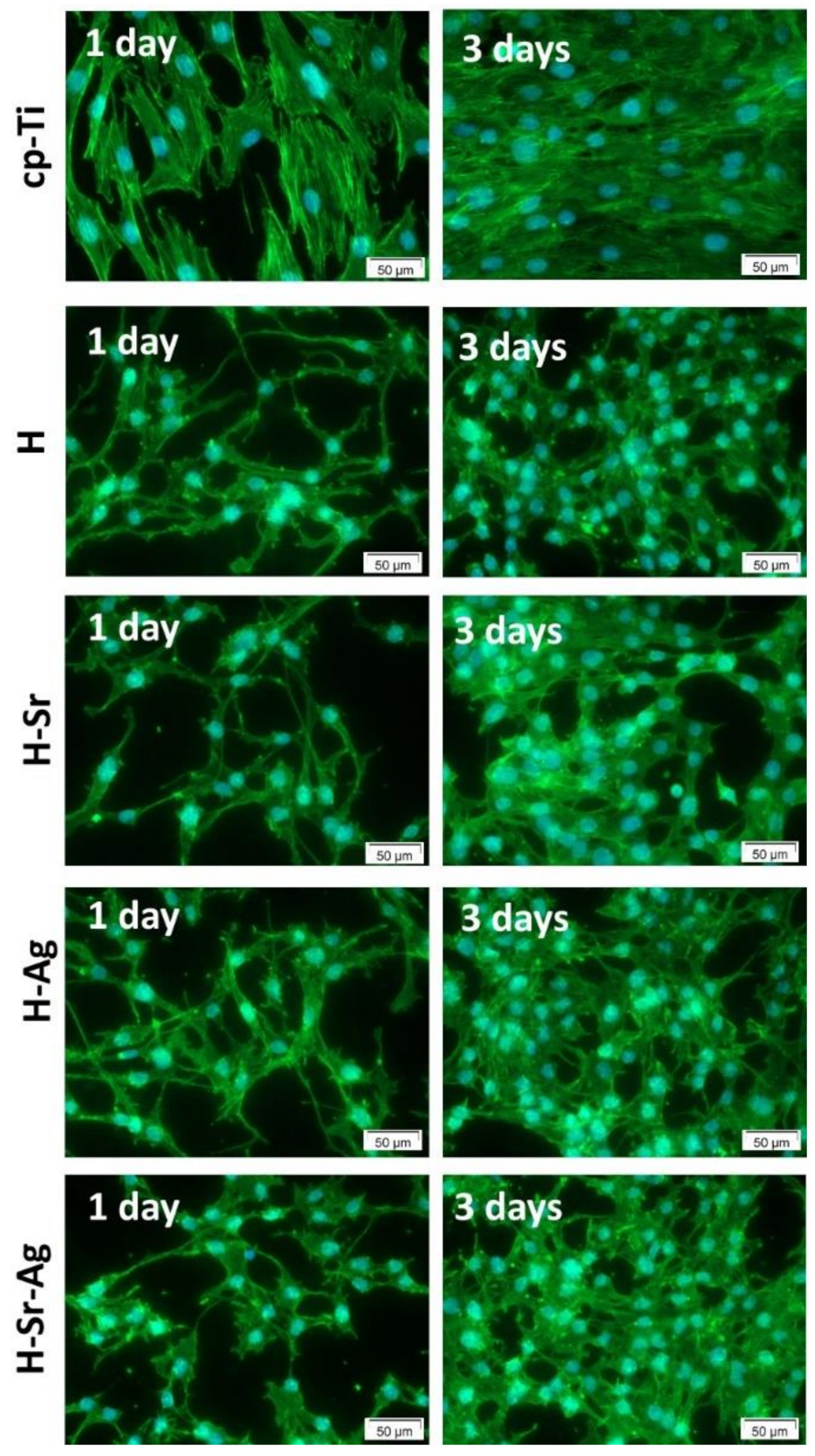Materials 16 05428 g010