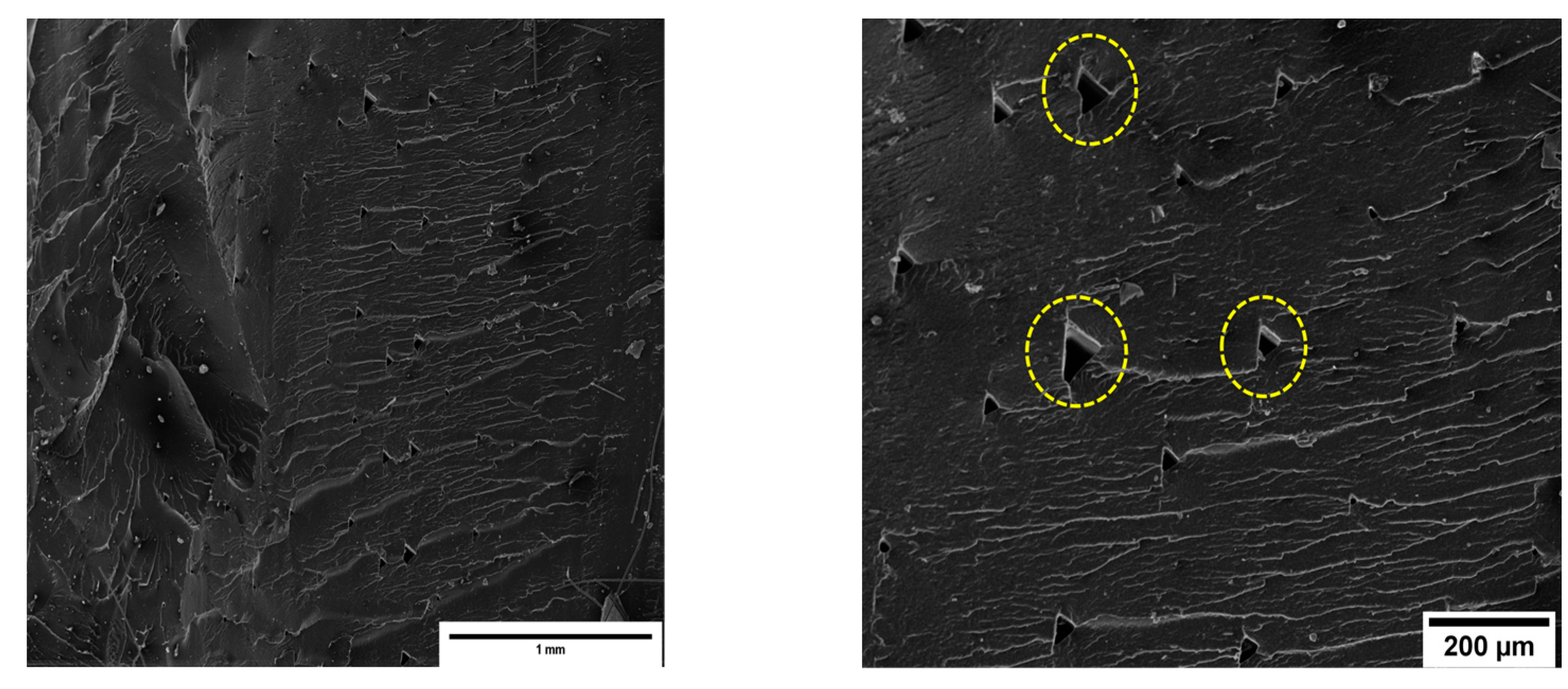 Materials 16 05436 g015