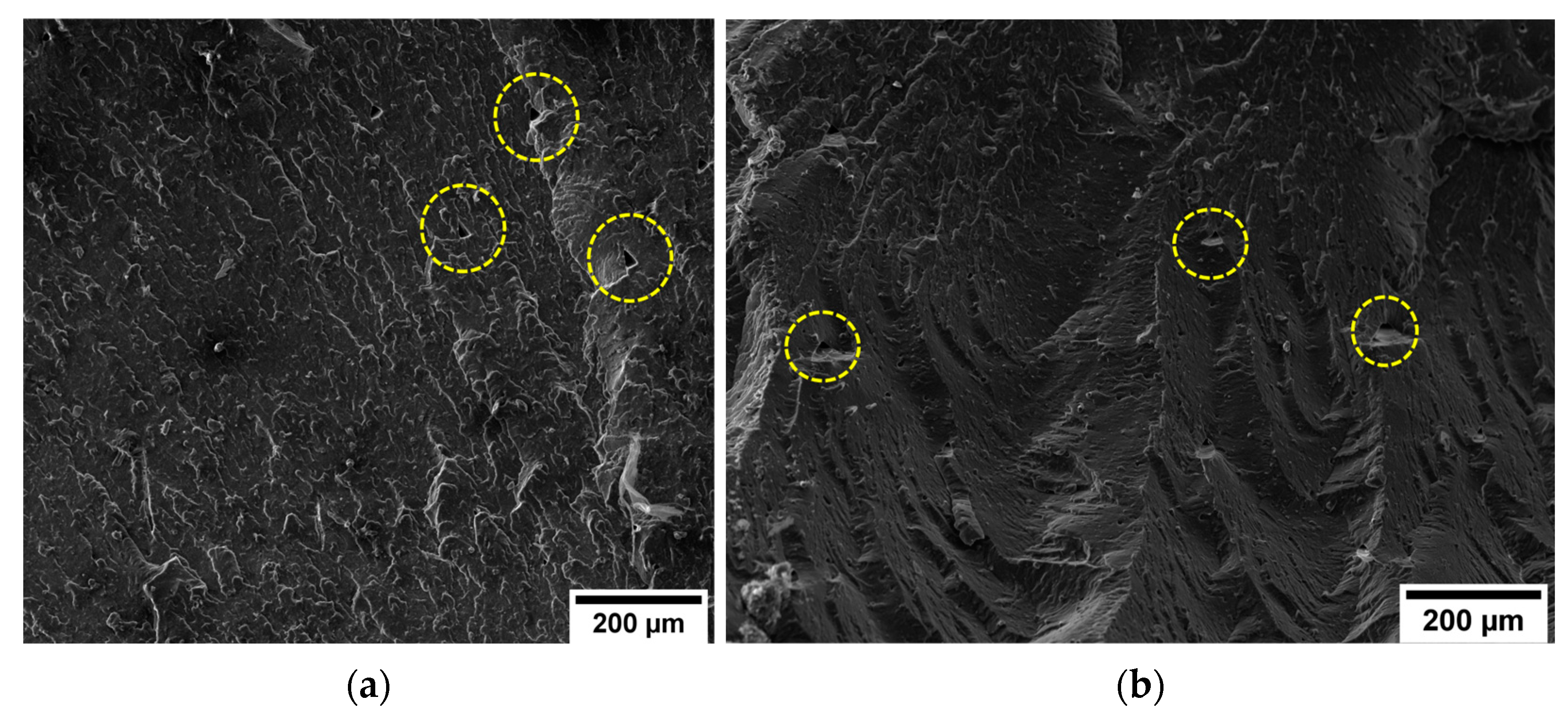 Materials 16 05436 g016