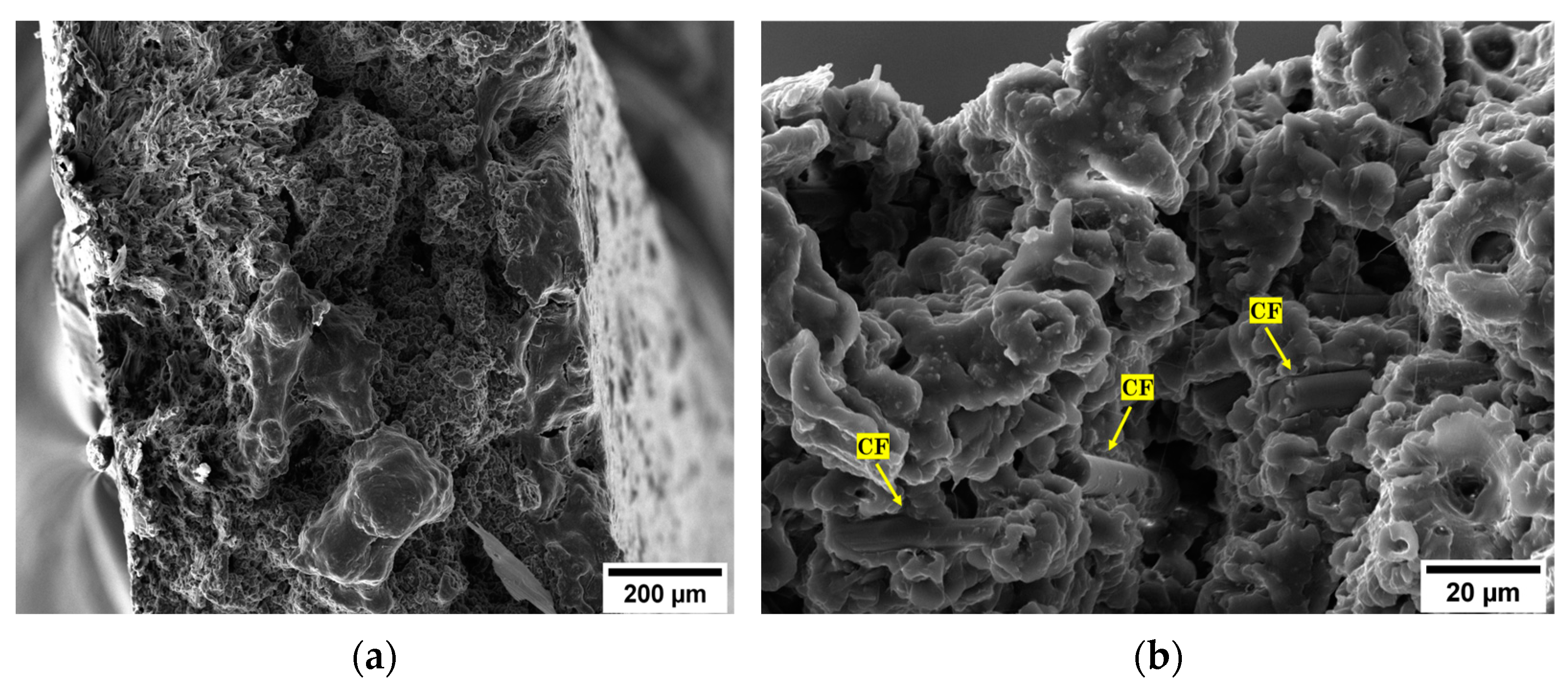 Materials 16 05436 g017