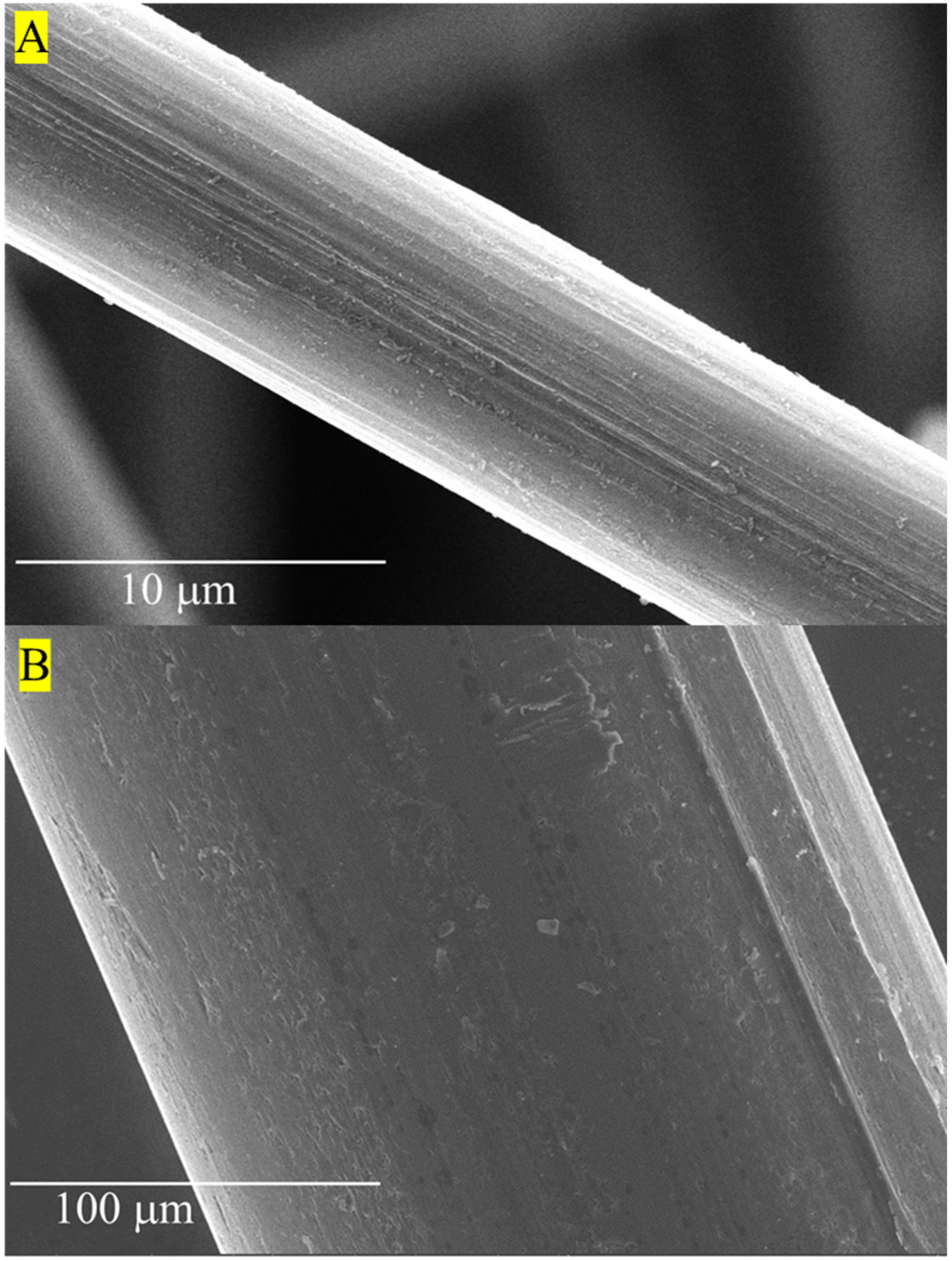 Materials 16 05451 g007