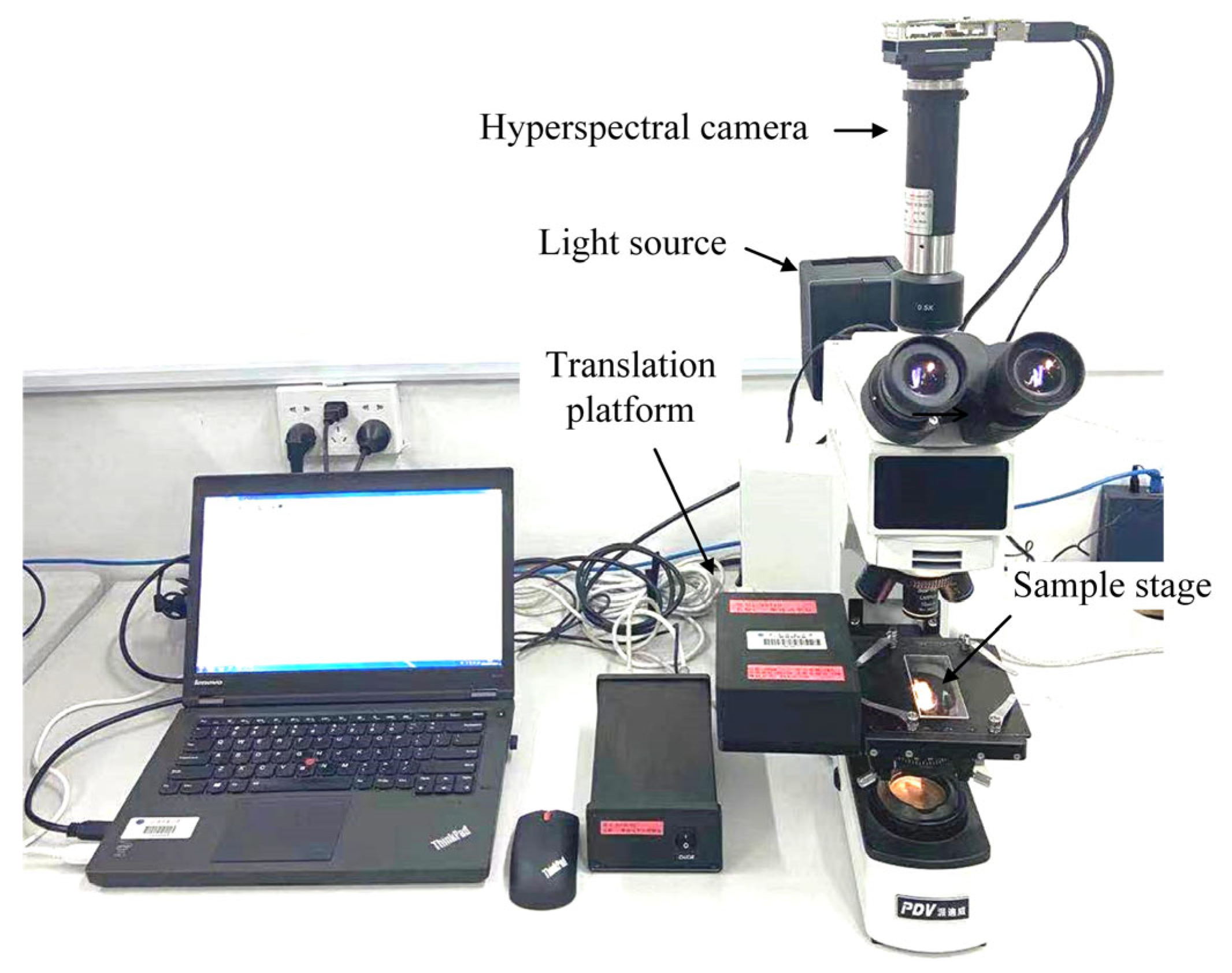 Materials 16 05454 g004