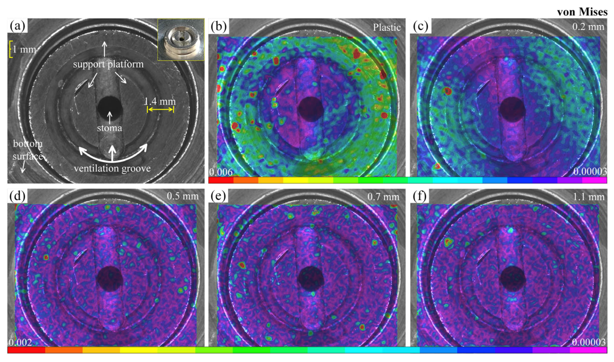 Materials 16 05454 g005