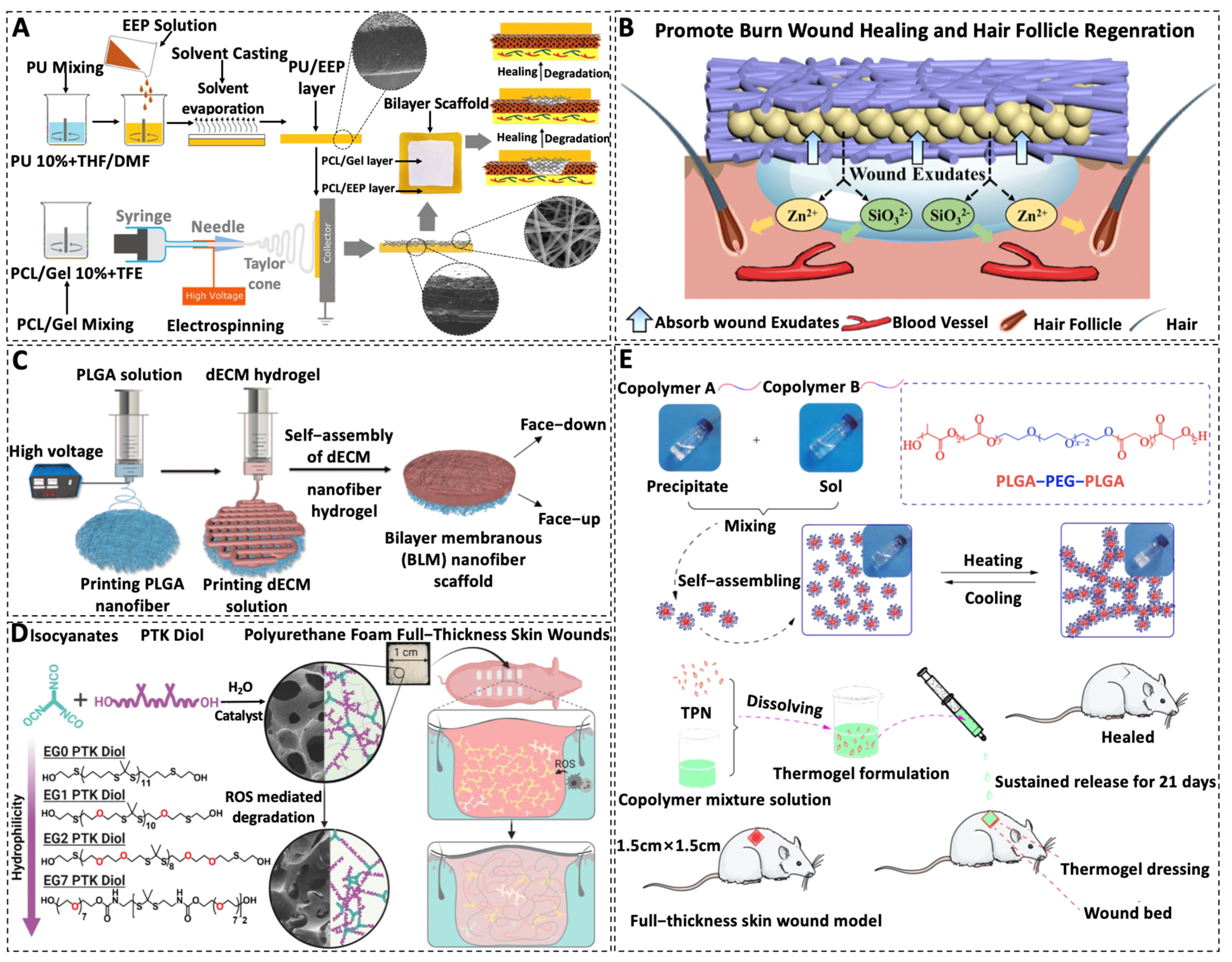 Recent Advances in Biodegradable and Biocompatible Synthetic Polymers ...