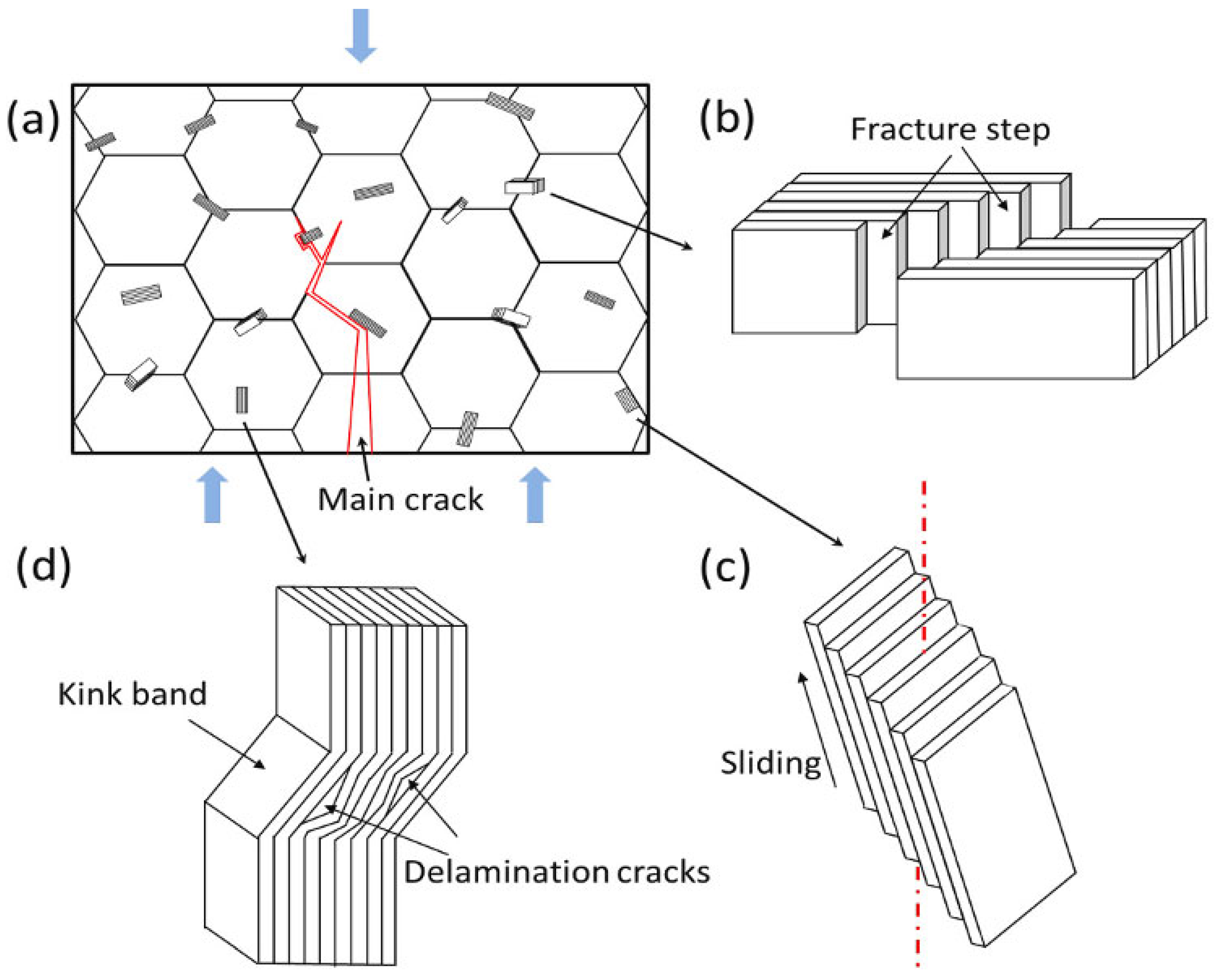 Materials 16 05495 g005
