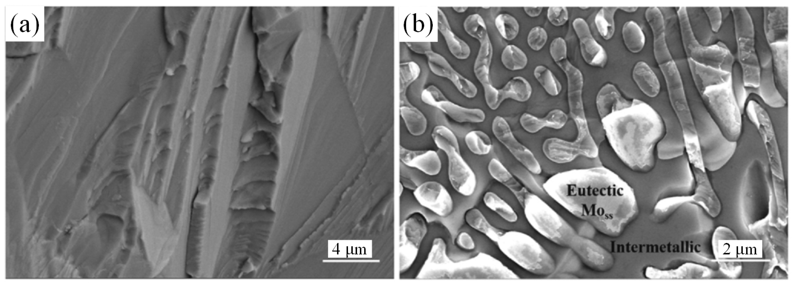 Materials 16 05495 g008