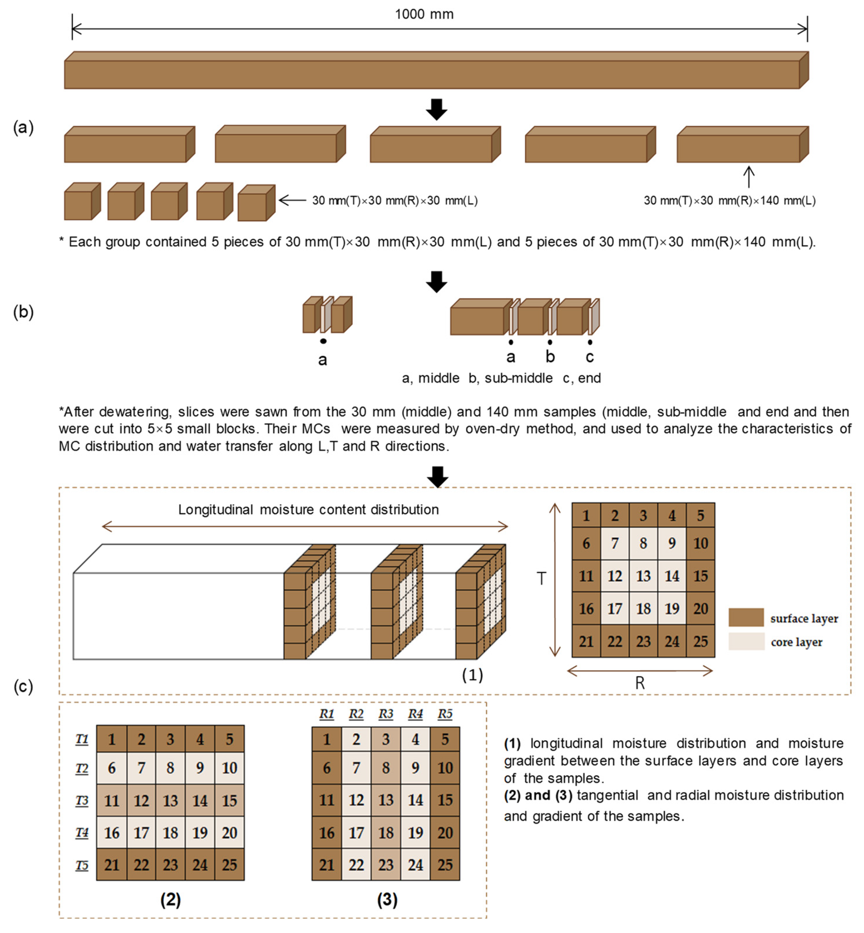 Materials 16 05521 g001