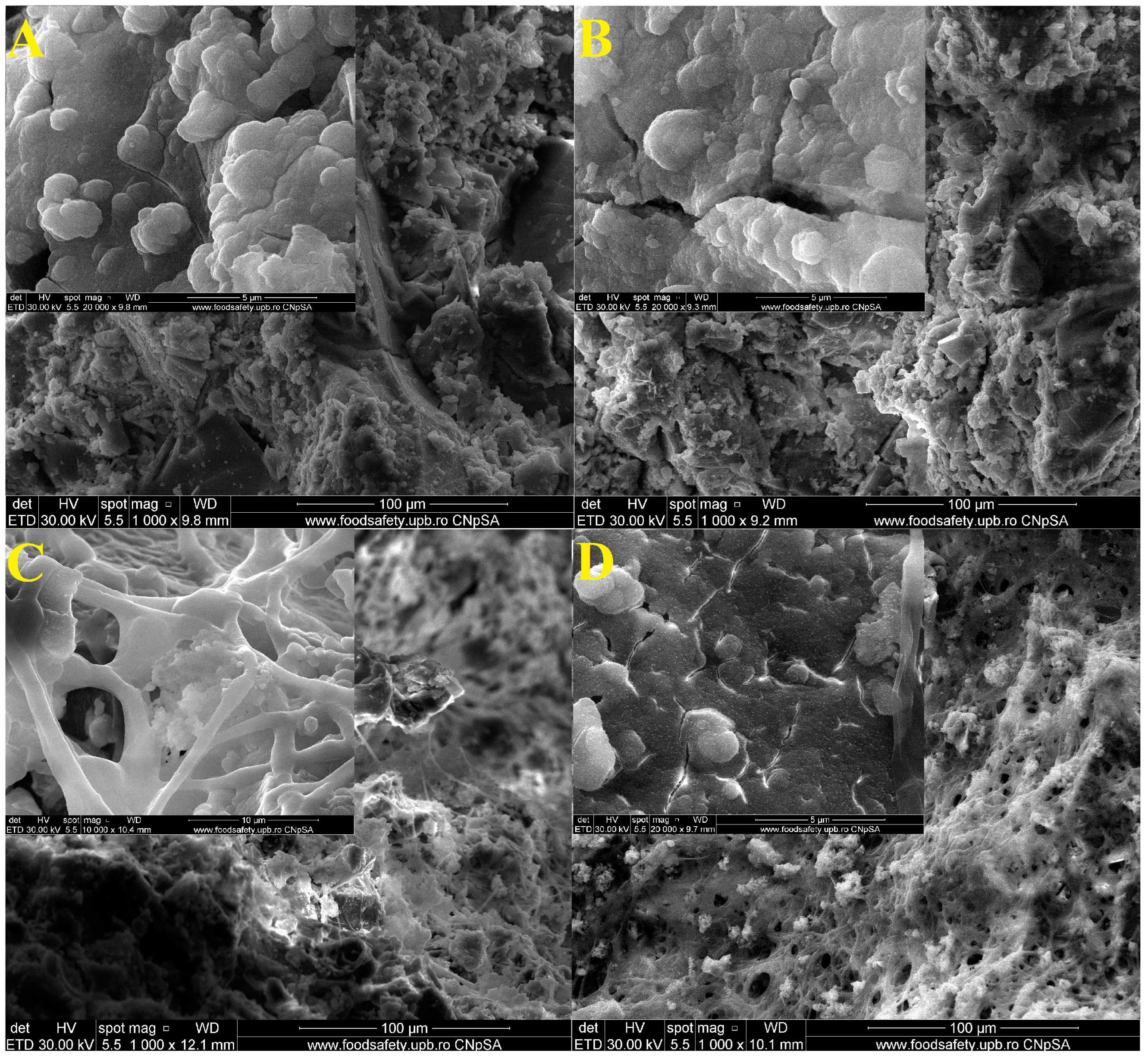 Materials 16 05548 g010 Materials 16 05548 g010