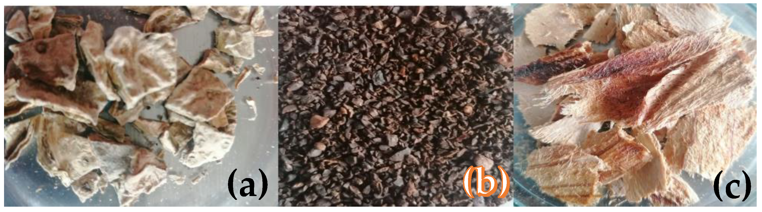 Materials 16 05571 g001