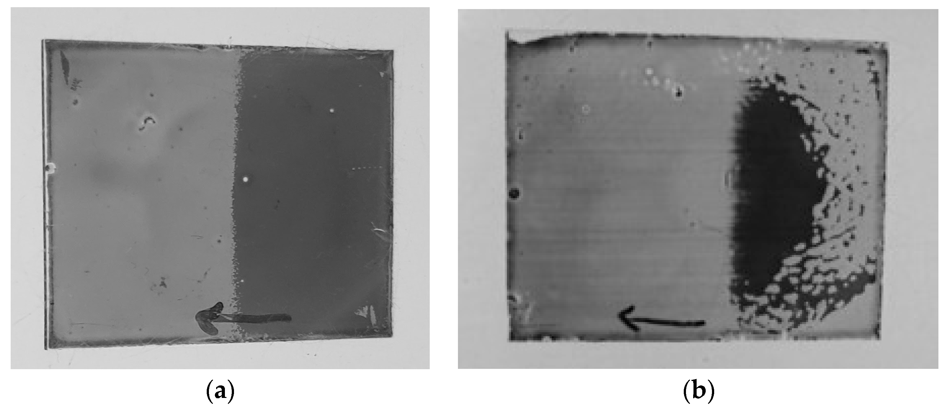 Materials 16 05584 g006 Materials 16 05584 g006