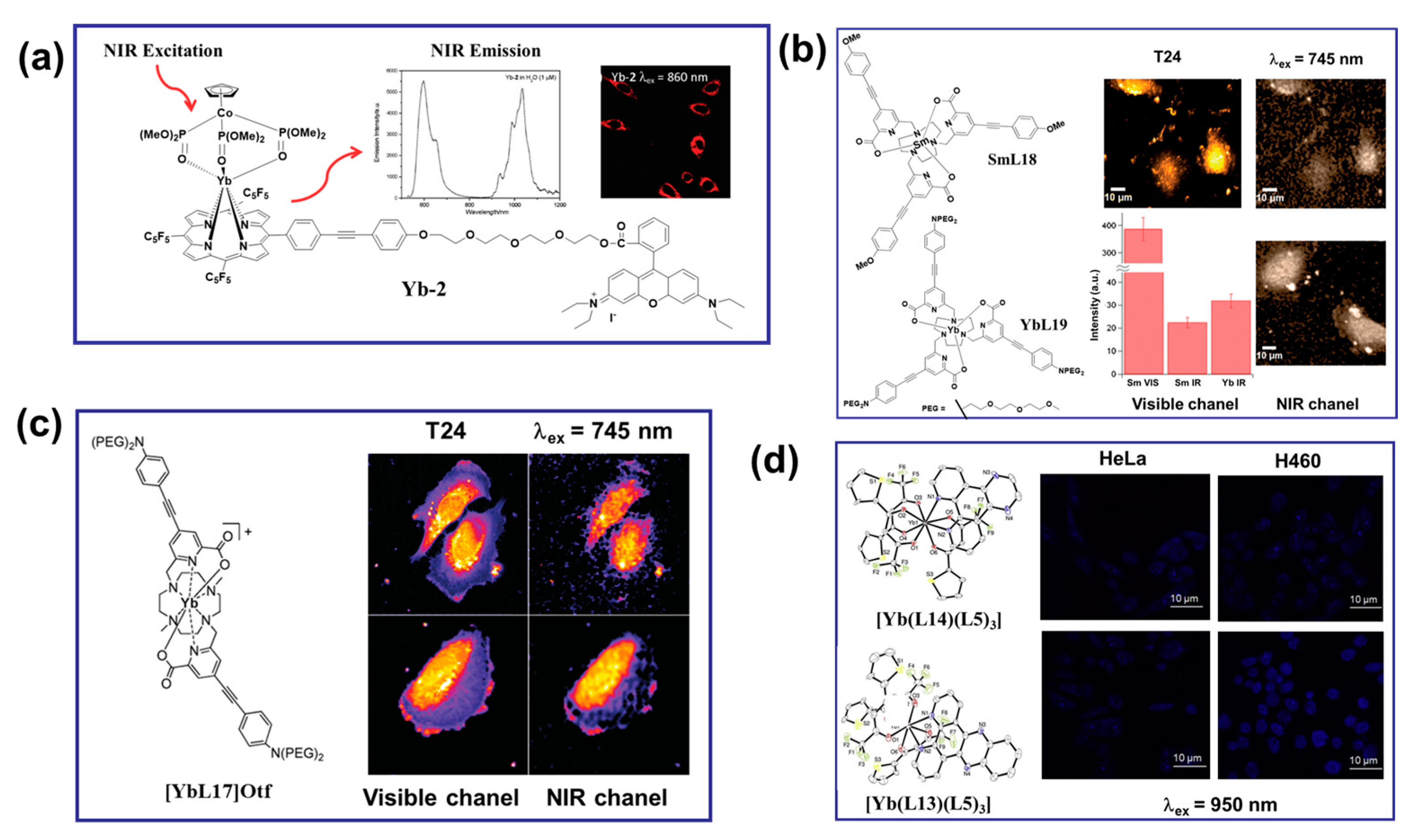 Materials 16 05642 g006