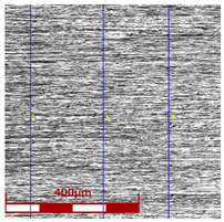 Materials 16 05684 i007