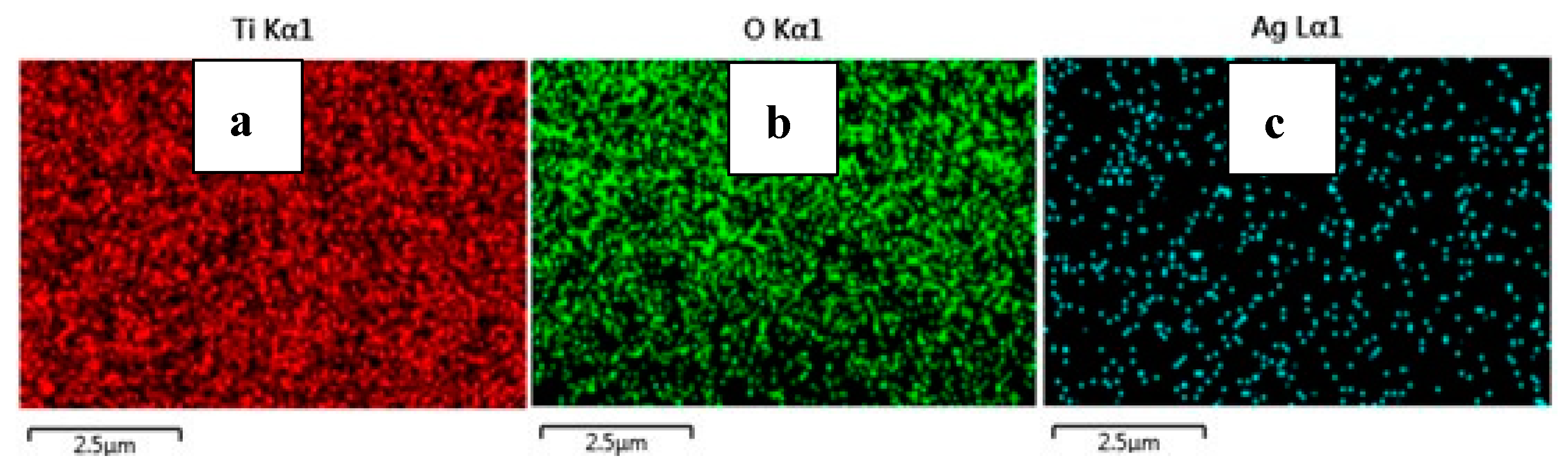 Materials 16 05731 g006