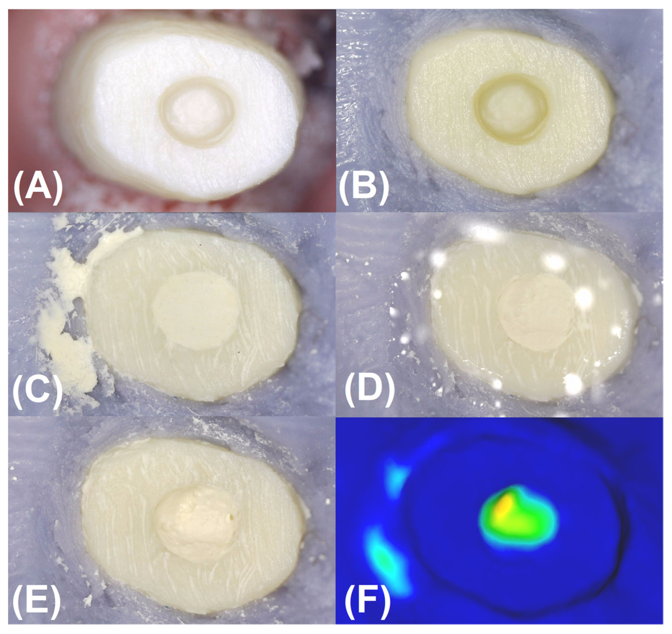 Materials 16 05757 g001