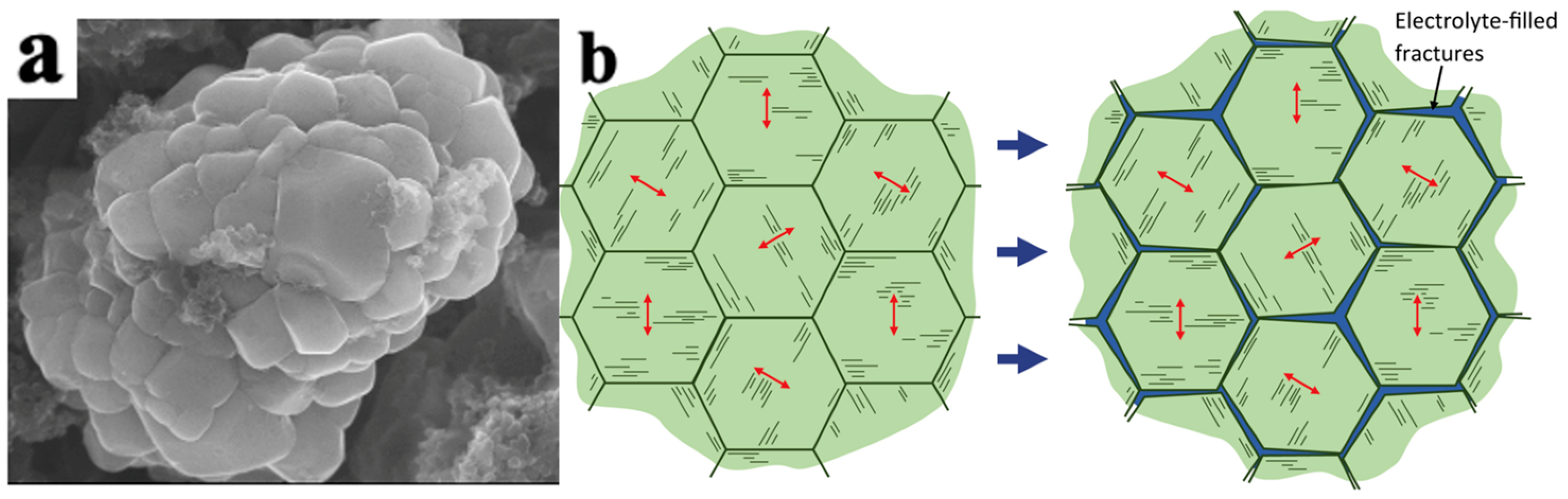 Materials 16 05769 g005