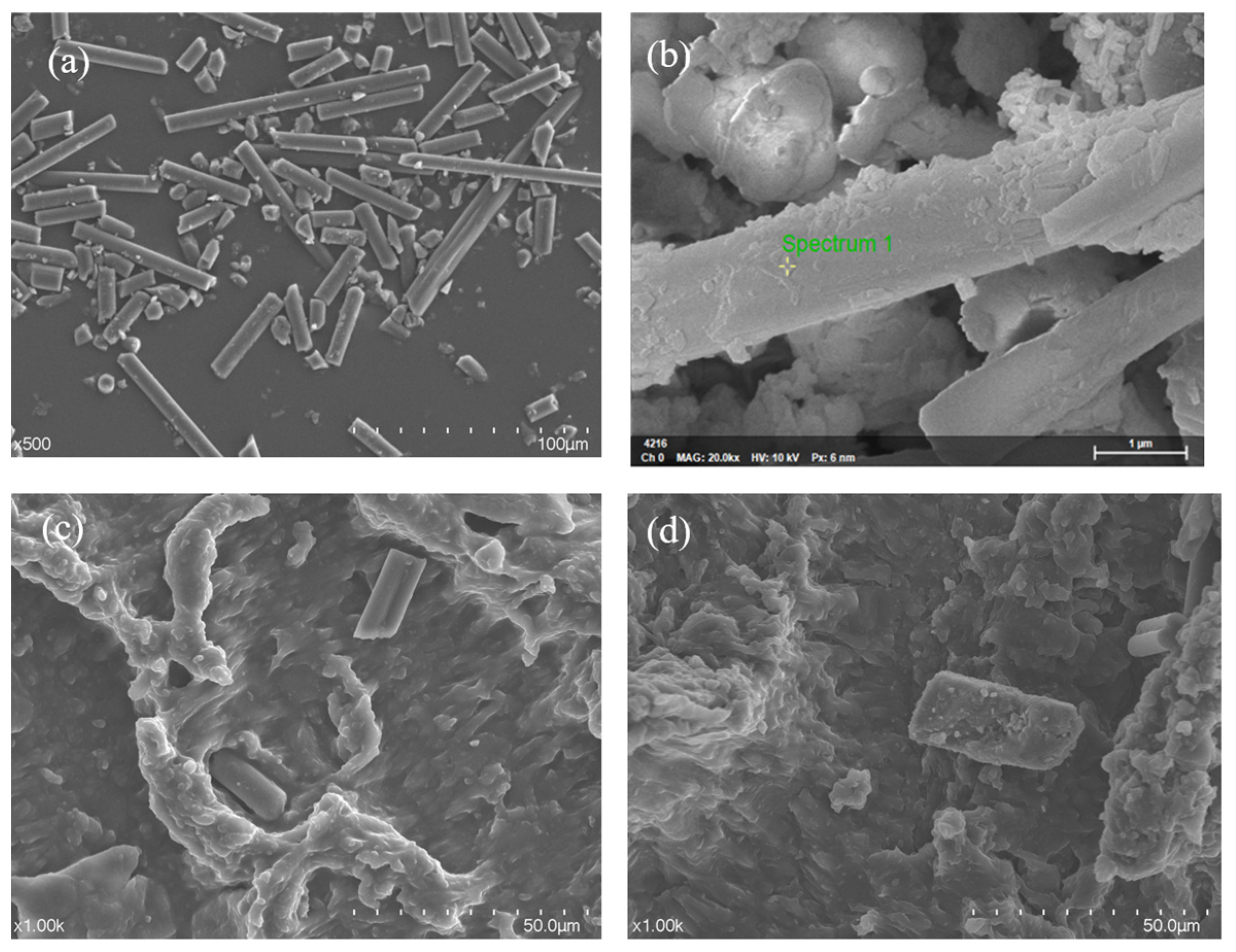 Materials 16 05773 g001