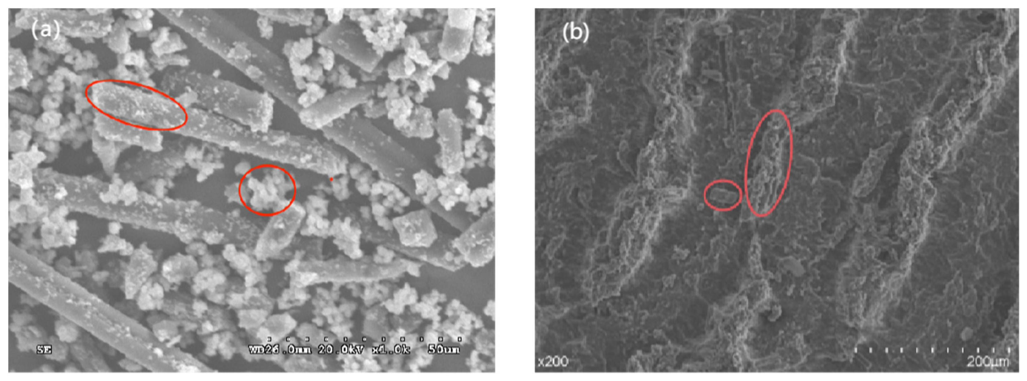 Materials 16 05773 g007