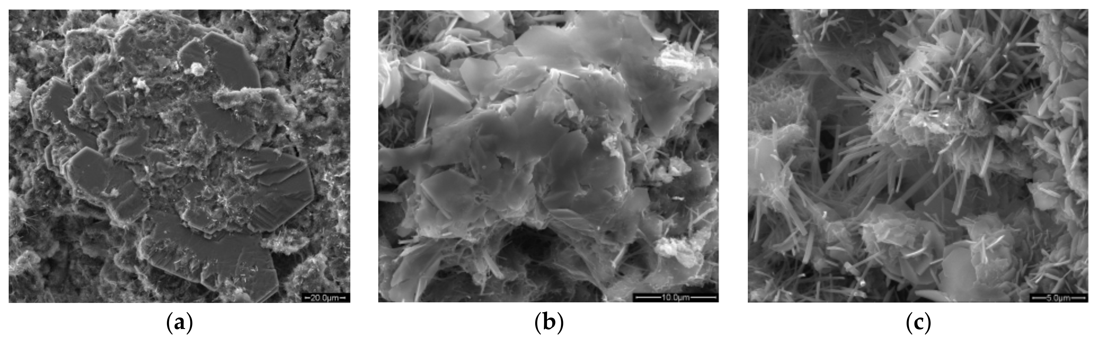 Materials 16 05841 g006