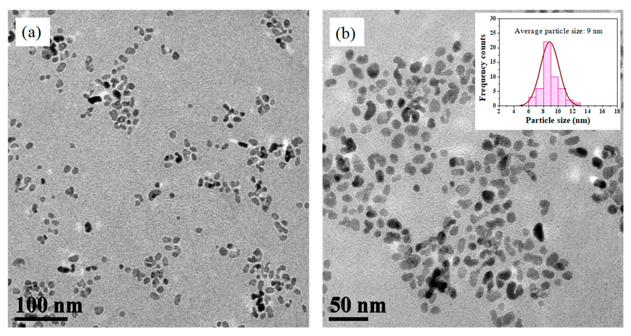 Materials 16 05846 g002