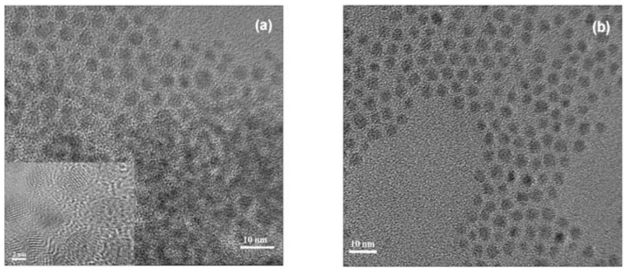 Materials 16 05877 g006