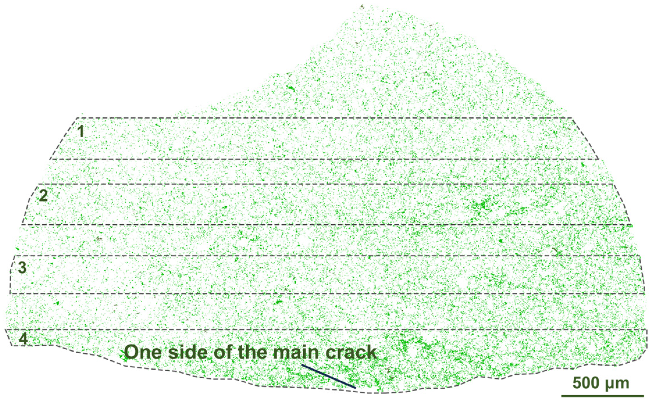 Materials 16 05881 g009