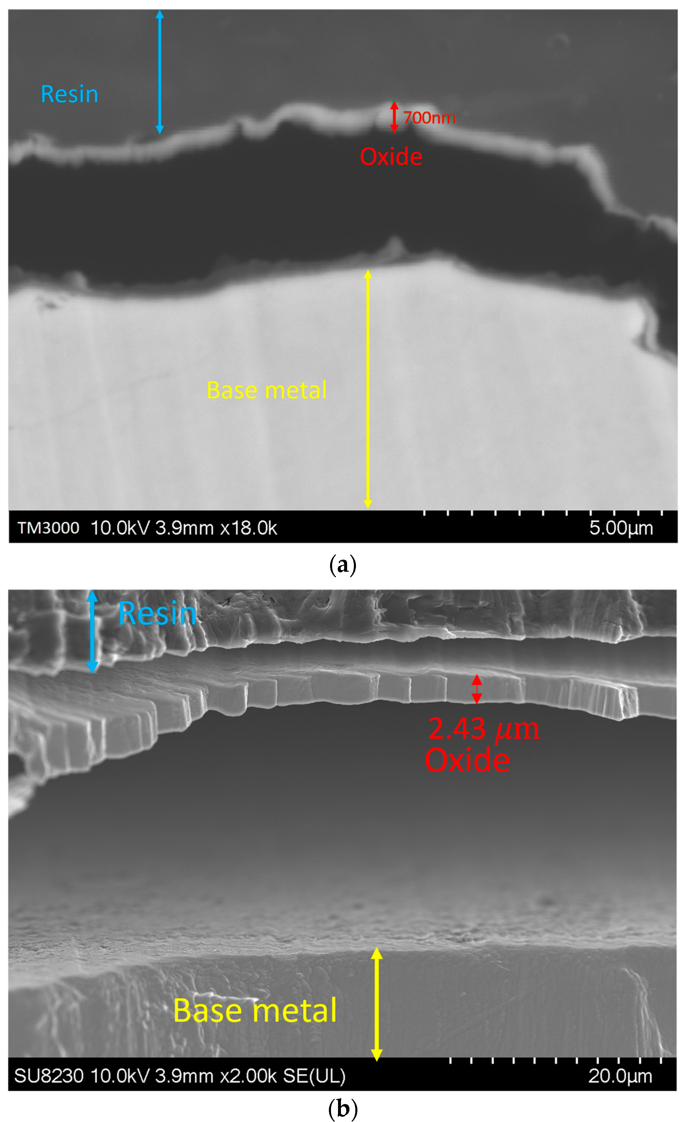 Materials 16 05968 g008a