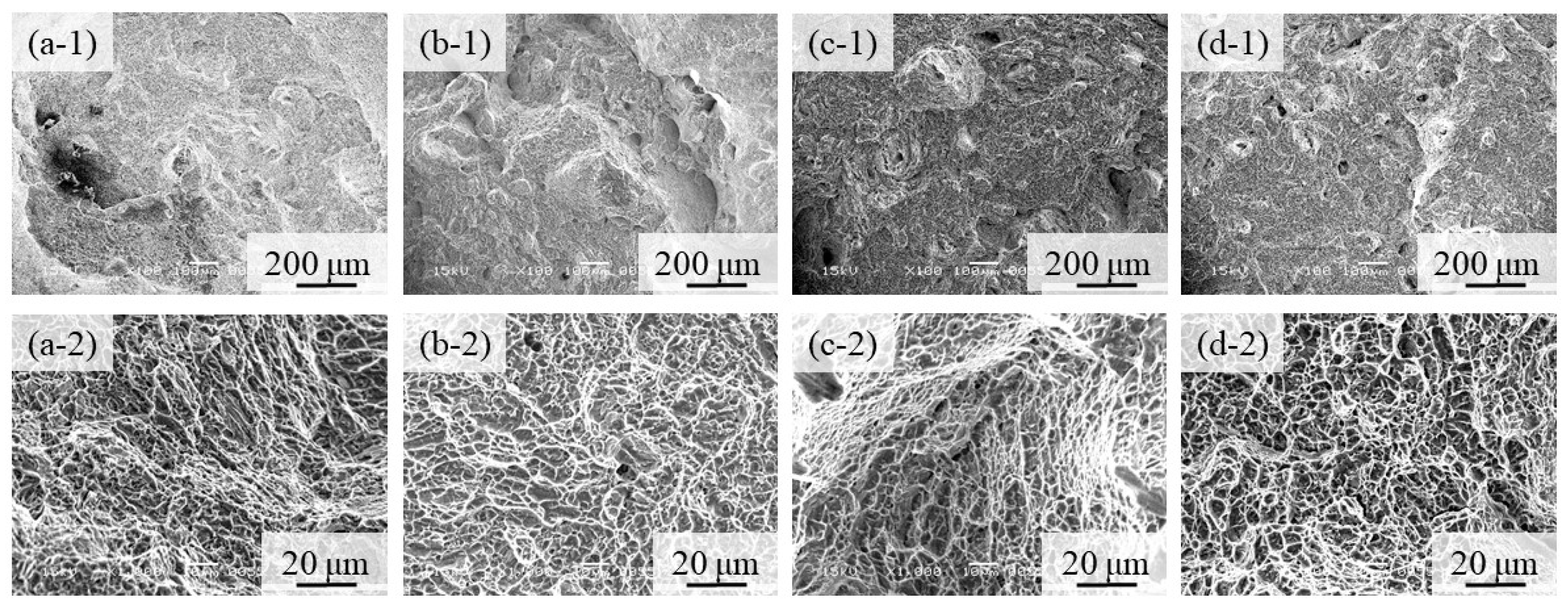 Materials 16 05974 g014