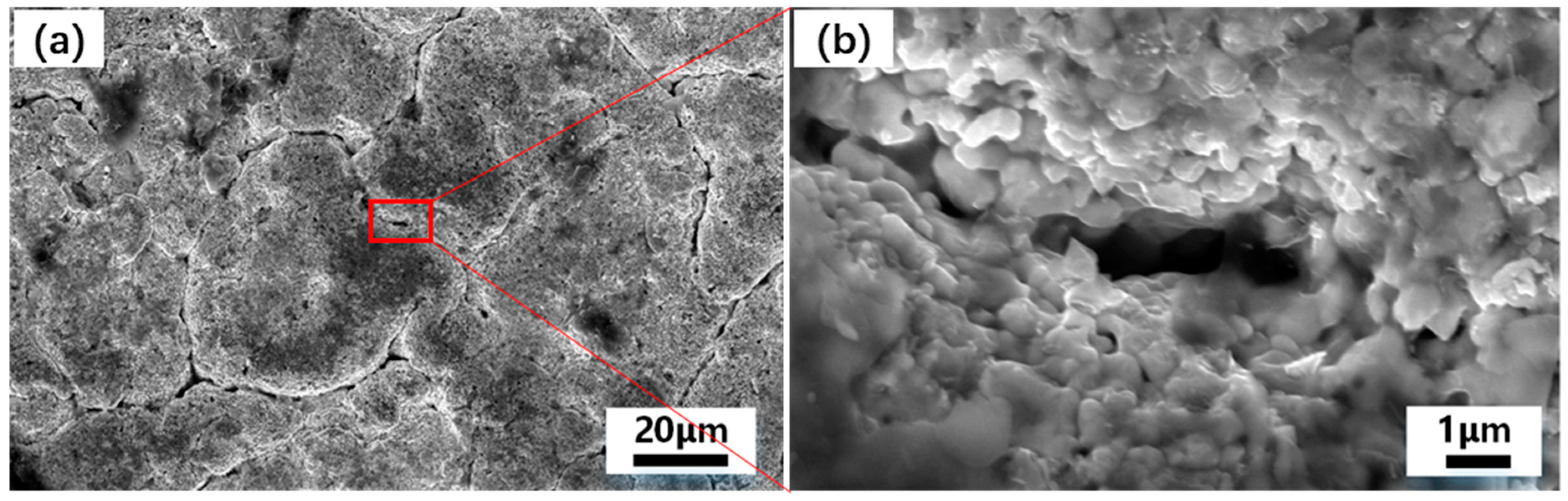 Materials 16 05976 g003