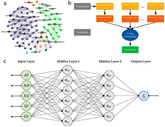 Materials 16 05977 g006