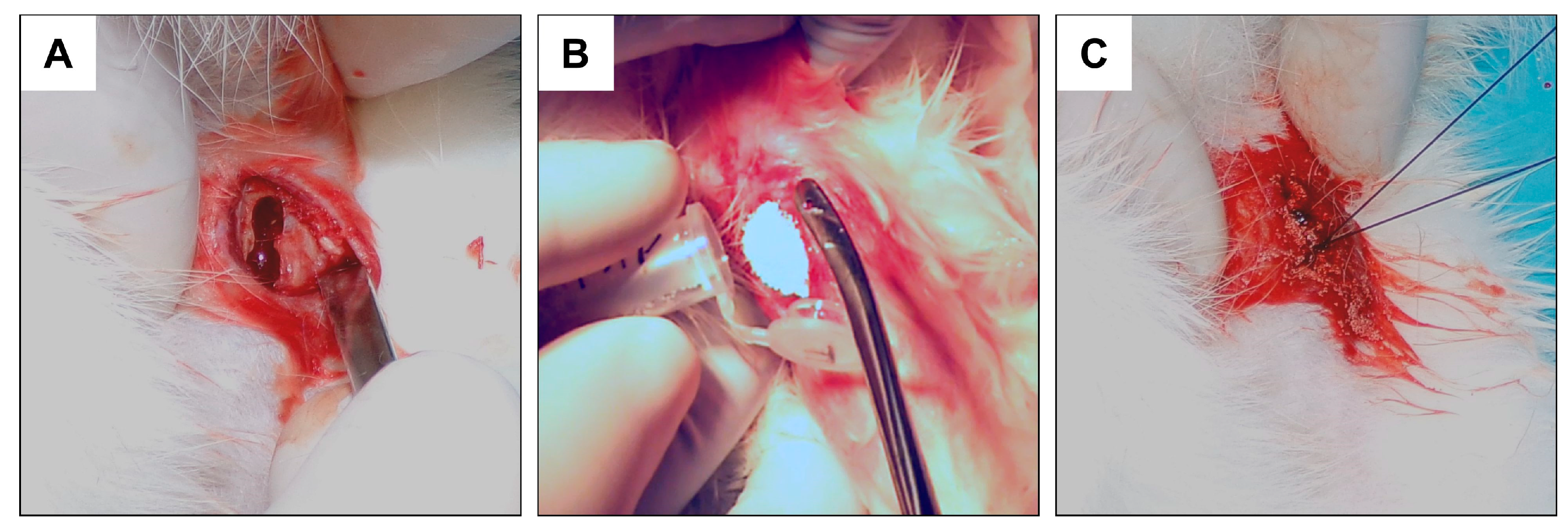 Materials 16 05992 g001