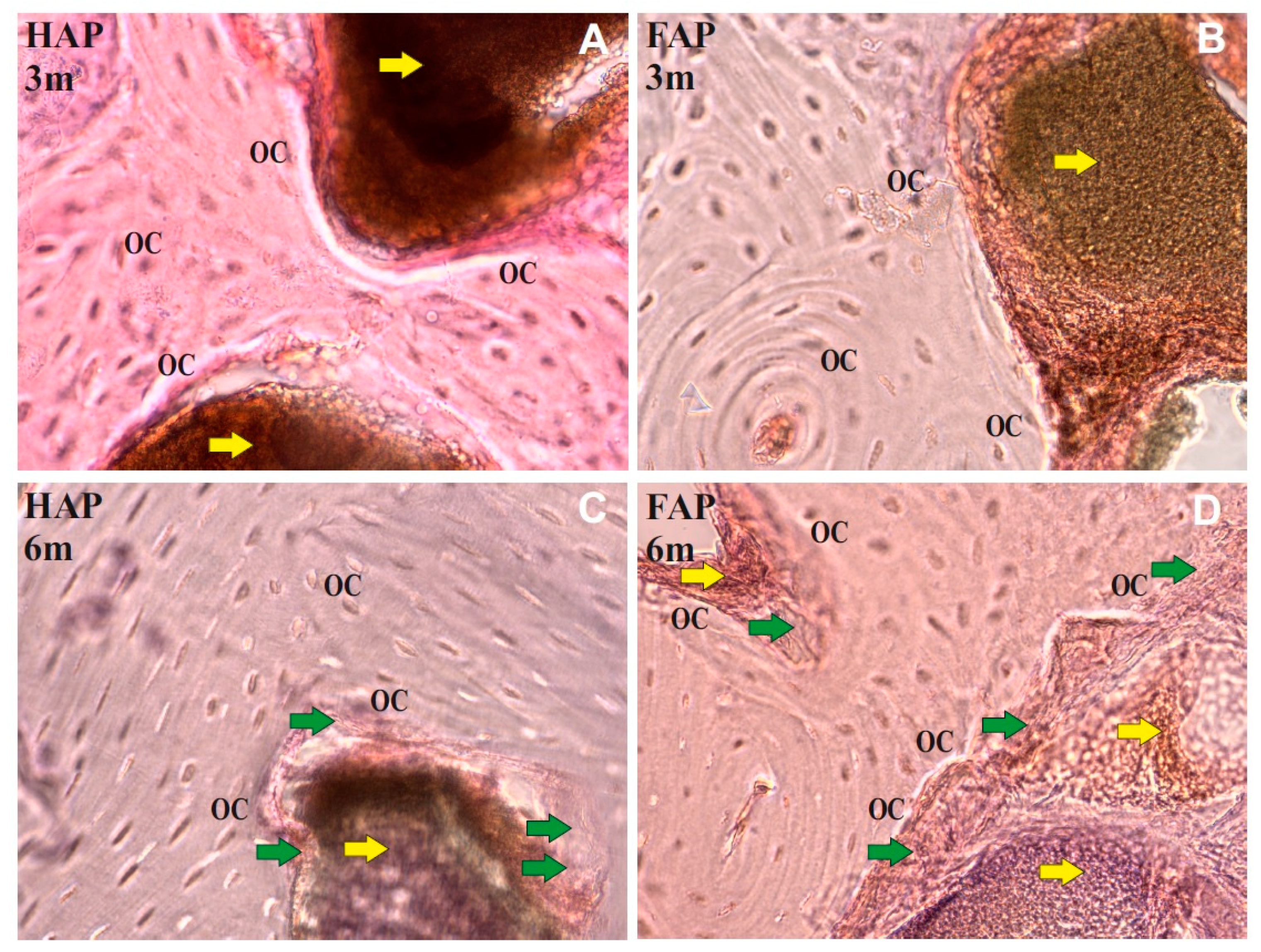 Materials 16 05992 g005