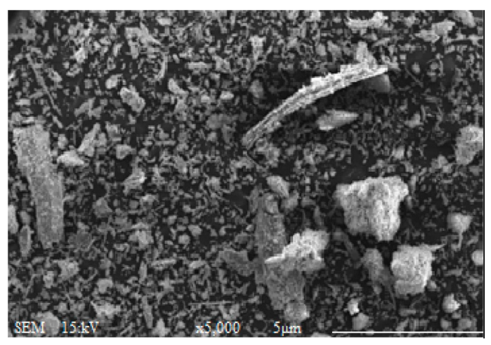 Materials 16 05997 g008