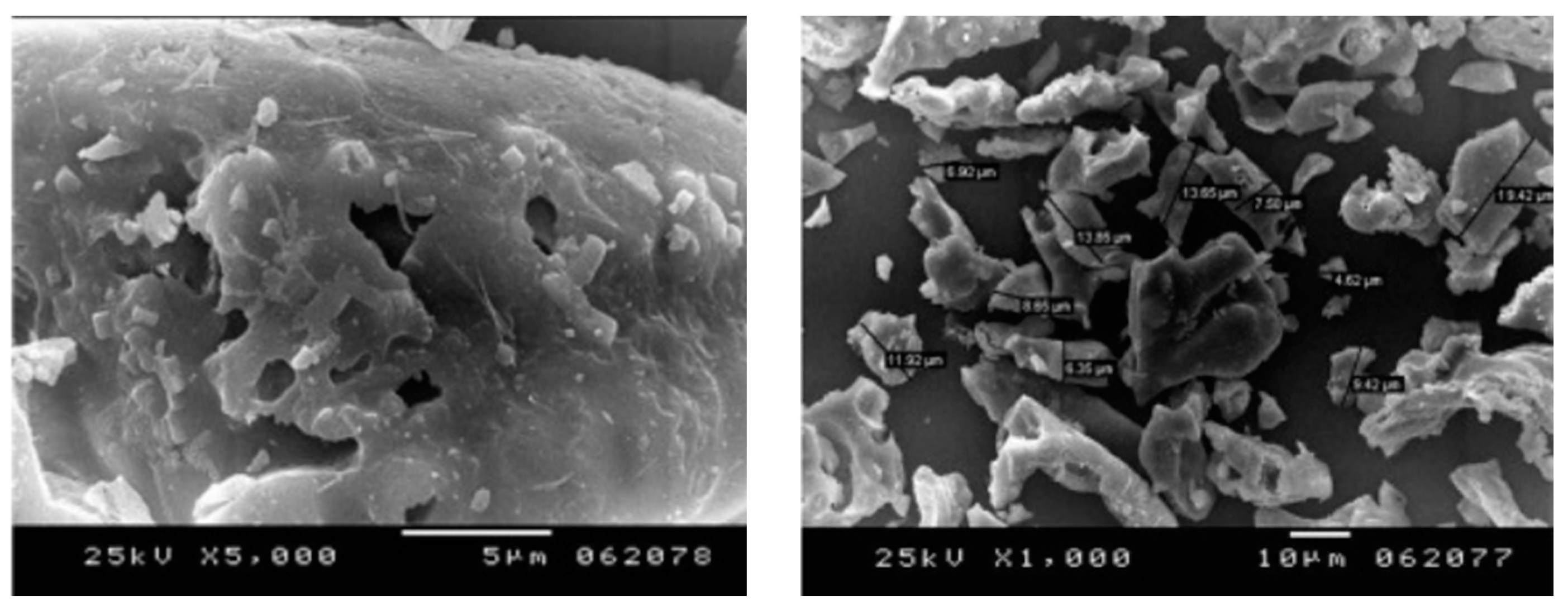 Materials 16 05997 g022